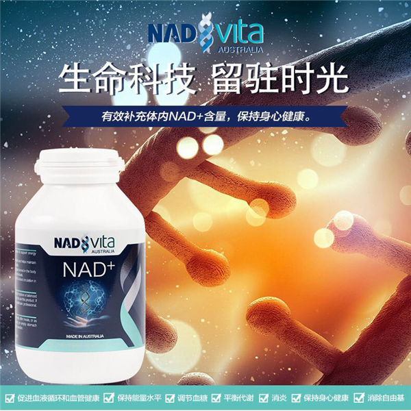 Nadvita 納維塔 NAD+諾加抗衰因子 60粒
